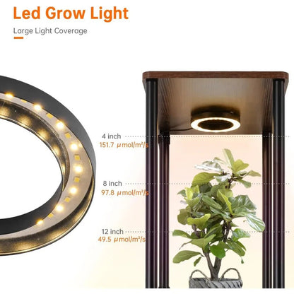 6 Tier Indoor Plant Stand with Full Spectrum Grow Light Close Up