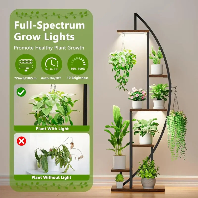 6 Tier Plant Stand  for Indoor Plants Multiple Half Moon Plan - Image 4